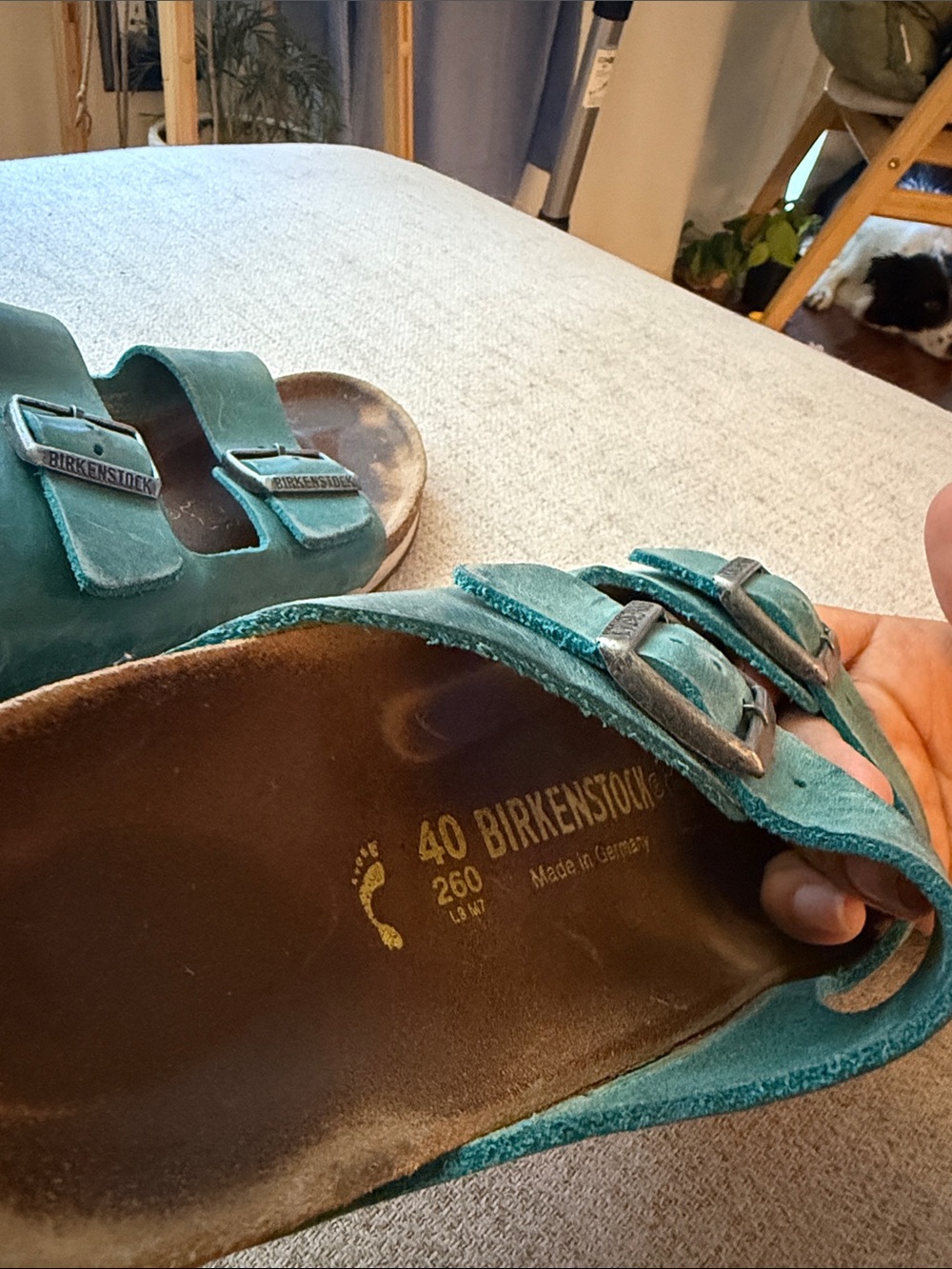 Birkenstock Arizona Sandals in Biscay Bay - Two Strap - Picture 8 of 8